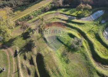 Locale Commerciale sp299, 600 
 S. Cuore - S. Martino, Novara - foto 6