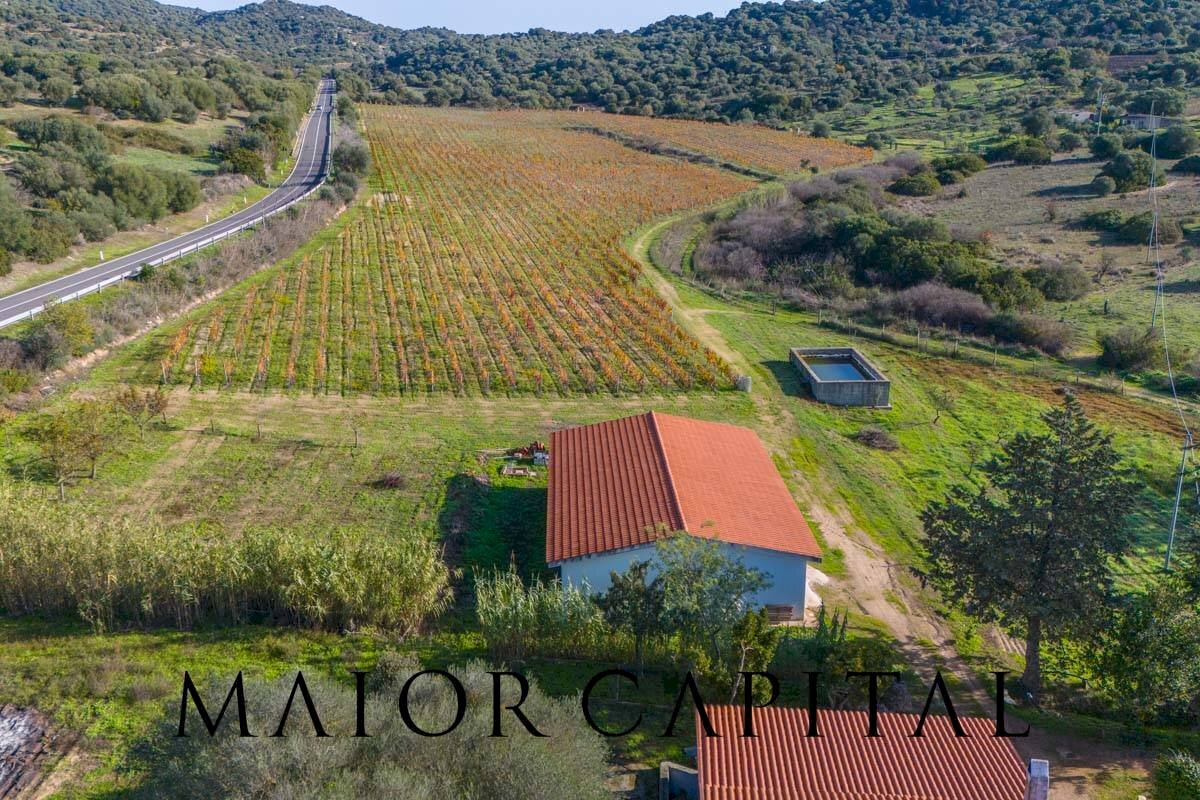 Agricultural land 8C9J+4JR Oliena, Provincia di Nuoro, Oliena - photo 3