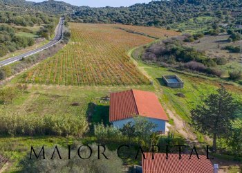 Terreno agricolo 8C9J+4JR Oliena, Provincia di Nuoro, Oliena - foto 3