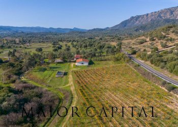 Terreno agricolo 8C9J+4JR Oliena, Provincia di Nuoro, Oliena - foto 1