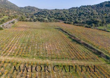 Terreno agricolo 8C9J+4JR Oliena, Provincia di Nuoro, Oliena - foto 4