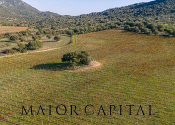 Terreno agricolo 8C9J+4JR Oliena, Provincia di Nuoro, Oliena - foto 5