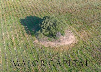 Terreno agricolo 8C9J+4JR Oliena, Provincia di Nuoro, Oliena - foto 8