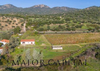 Terreno agricolo 8C9J+4JR Oliena, Provincia di Nuoro, Oliena - foto 11