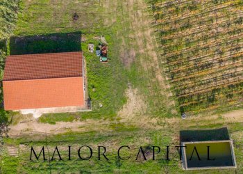 Terreno agricolo 8C9J+4JR Oliena, Provincia di Nuoro, Oliena - foto 12