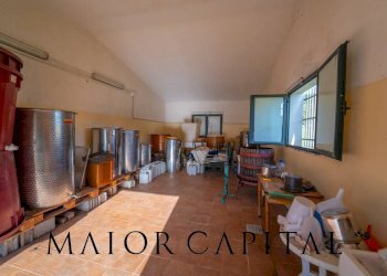 Terreno agricolo 8C9J+4JR Oliena, Provincia di Nuoro, Oliena - foto 19