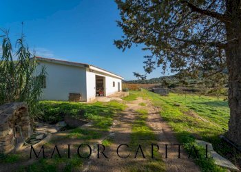 Terreno agricolo 8C9J+4JR Oliena, Provincia di Nuoro, Oliena - foto 23