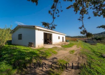 Terreno agricolo 8C9J+4JR Oliena, Provincia di Nuoro, Oliena - foto 24