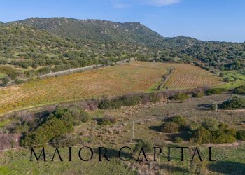 Terreno agricolo 8C9J+4JR Oliena, Provincia di Nuoro, Oliena - foto 28