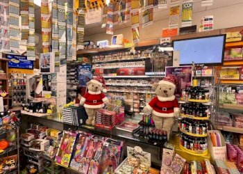 Tabaccheria Castagnito - foto 23