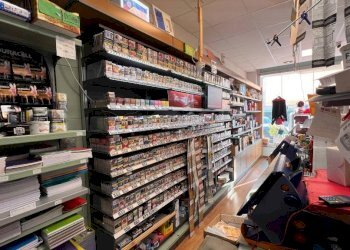 Tabaccheria Castagnito - foto 28