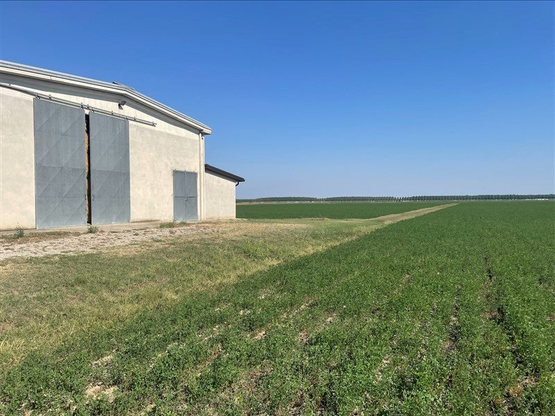 Agricultural land TORRICELLA, Sissa Trecasali - photo 2