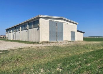Terreno agricolo TORRICELLA, Sissa Trecasali - foto 1