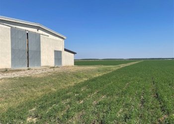 Terreno agricolo TORRICELLA, Sissa Trecasali - foto 2