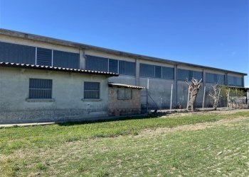 Terreno agricolo TORRICELLA, Sissa Trecasali - foto 4