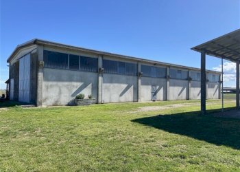 Terreno agricolo TORRICELLA, Sissa Trecasali - foto 5