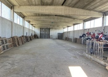 Terreno agricolo TORRICELLA, Sissa Trecasali - foto 6