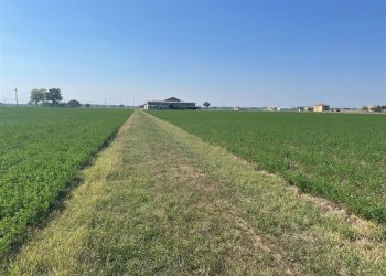 Terreno agricolo TORRICELLA, Sissa Trecasali - foto 11