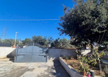 Villa Anzio - photo 4