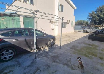 Villa Anzio - photo 23