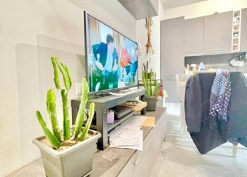 Trilocale Seravezza - foto 1