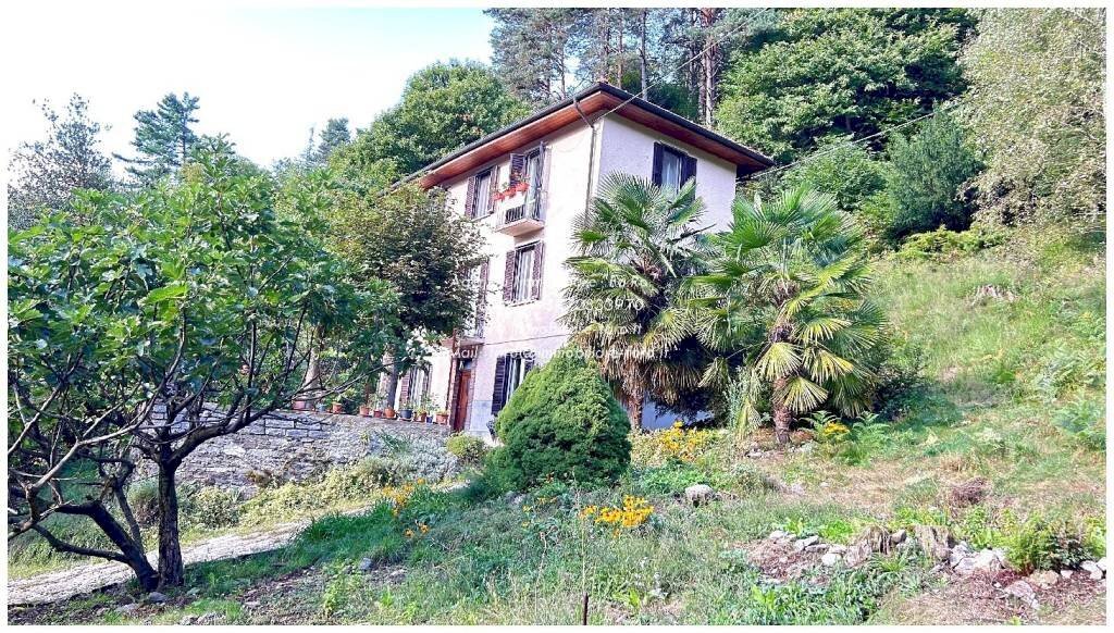 Giardino - Villa via Milano, Bee - foto 1