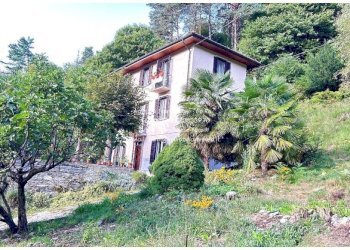 Giardino - Villa via Milano, Bee - foto 1