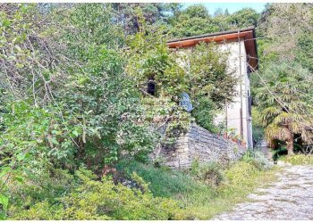 Giardino - Villa via Milano, Bee - foto 35