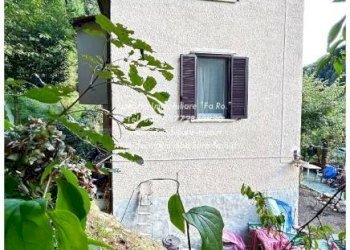 Giardino - Villa via Milano, Bee - foto 37