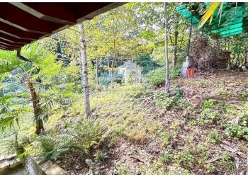 Giardino - Villa via Milano, Bee - foto 44