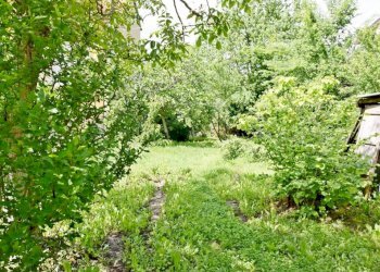 Giardino - Rustic via Camigliasca, 10, Niella Tanaro - photo 16