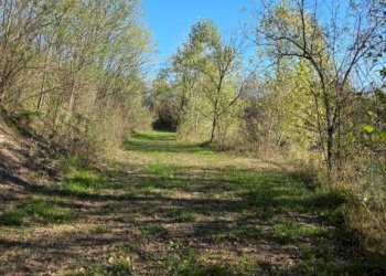 Terreno - Terreno agricolo via dell'About, Ivrea - foto 8