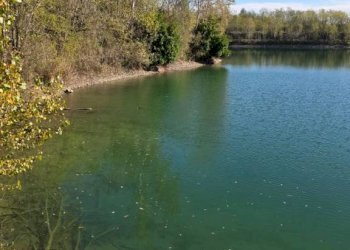 Zona - Terreno agricolo via dell'About, Ivrea - foto 10