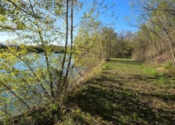 Terreno - Terreno agricolo via dell'About, Ivrea - foto 11