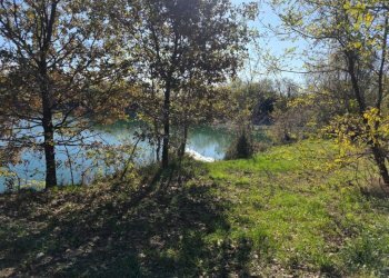 Terreno - Terreno agricolo via dell'About, Ivrea - foto 12