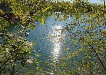 Terreno - Terreno agricolo via dell'About, Ivrea - foto 13