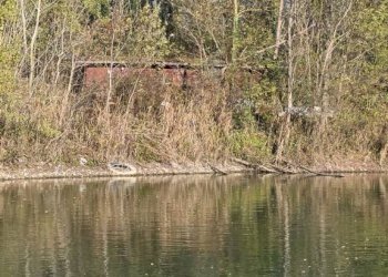 Zona - Terreno agricolo via dell'About, Ivrea - foto 14
