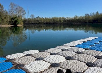 Piscina - Terreno agricolo via dell'About, Ivrea - foto 5