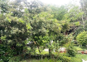 Villa Bifamiliare Massa Lombarda - foto 8