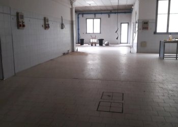 Negozio Alseno - foto 2