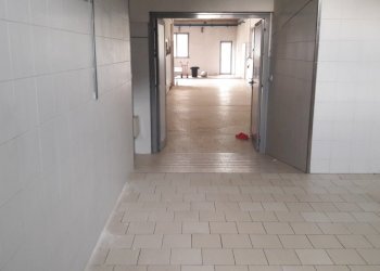 Negozio Alseno - foto 3