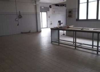 Negozio Alseno - foto 4