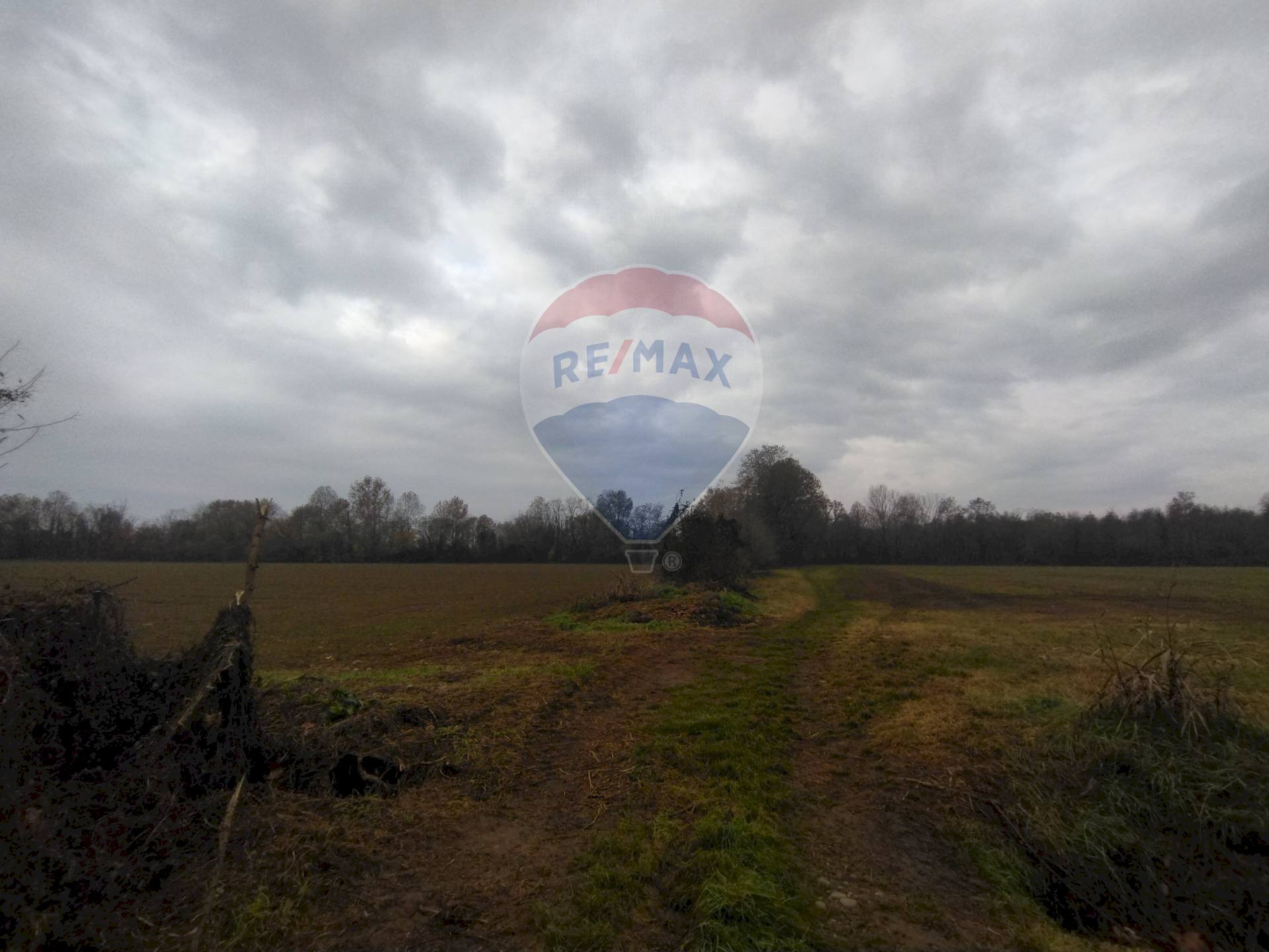 Agricultural land Caravaggio - photo 2