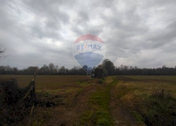 Terreno agricolo Caravaggio - foto 2