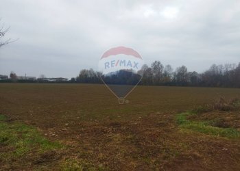 Terreno agricolo Caravaggio - foto 3