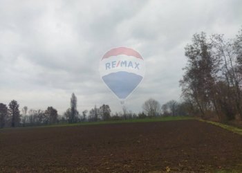 Terreno agricolo Caravaggio - foto 5