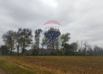 Terreno agricolo Caravaggio - foto 7