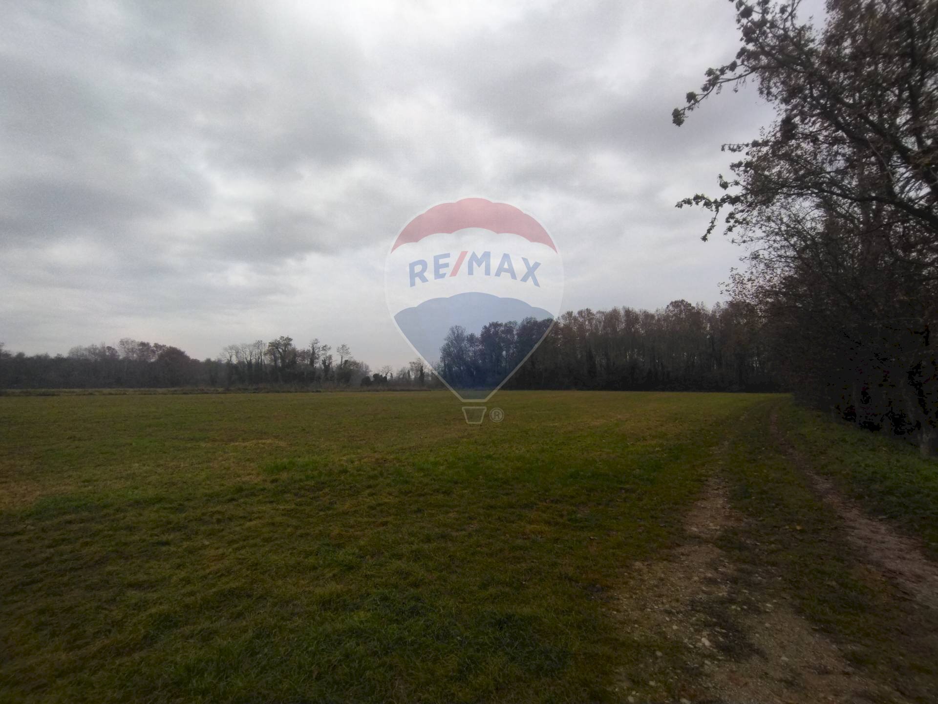 Agricultural land Lurano - photo 2