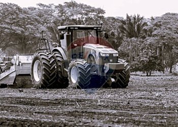 Terreno agricolo Lurano - foto 1