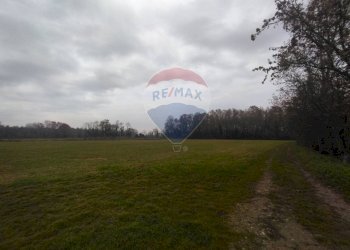 Terreno agricolo Lurano - foto 2